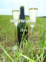 /album/fotogalerij/feestdagen-jpg/